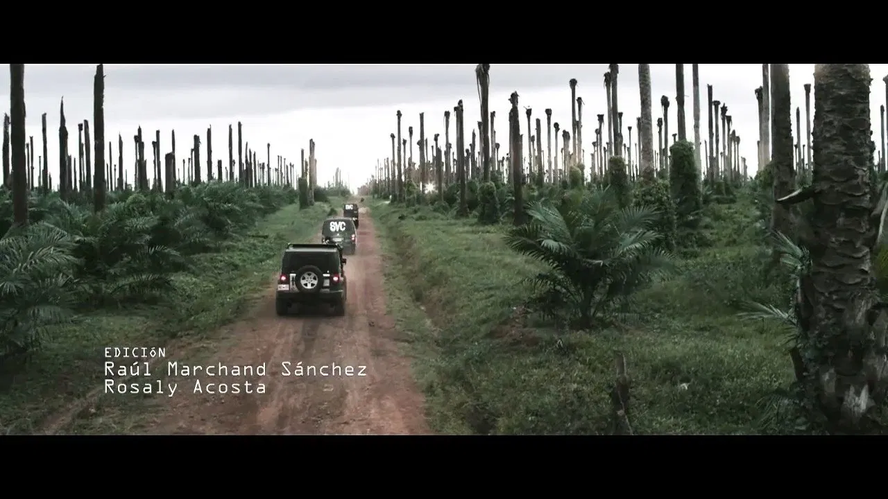 Biodegradable backdrop