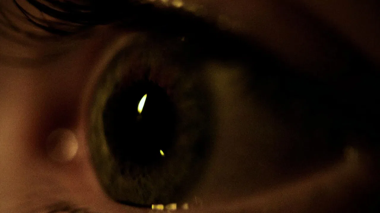 Fifth Story backdrop