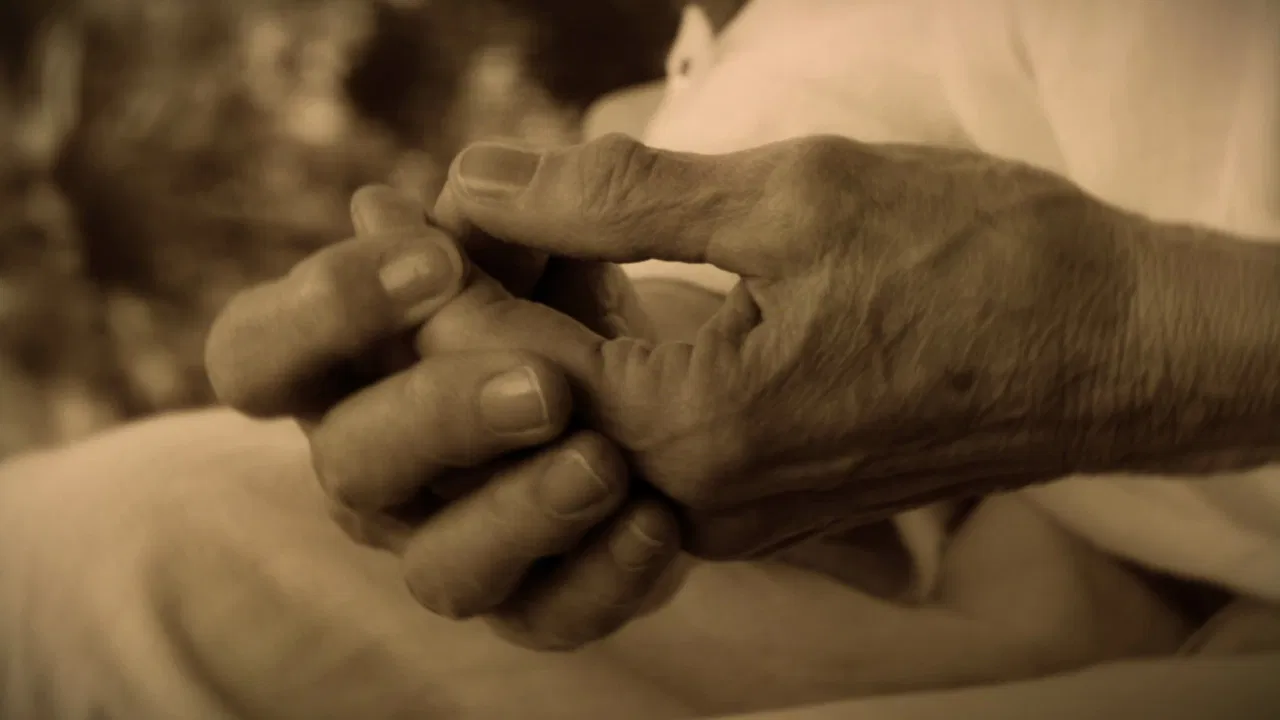With the Wind and the Leaves backdrop