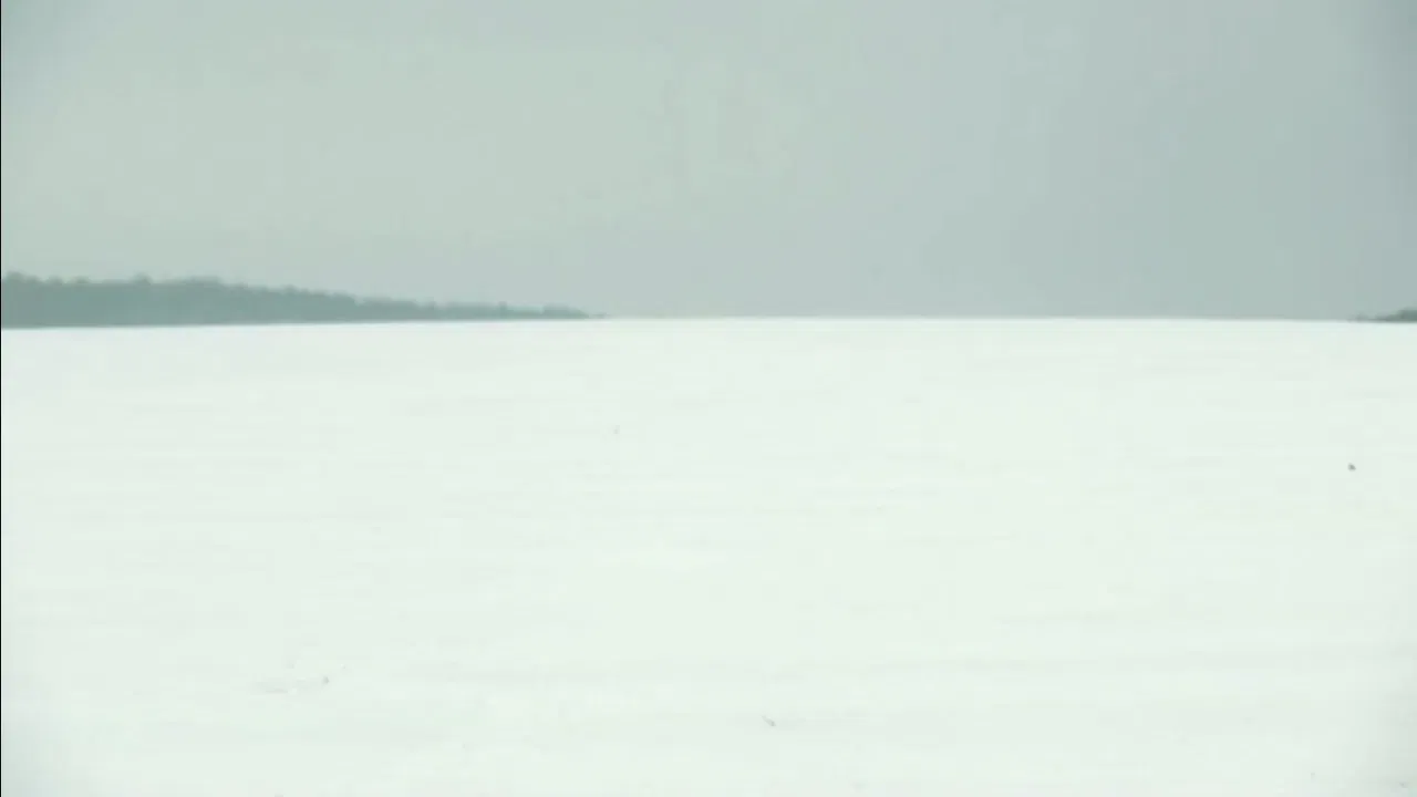 Dangerous Area backdrop