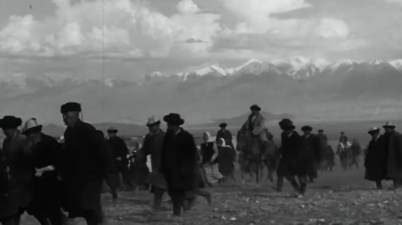 Mother's Field backdrop