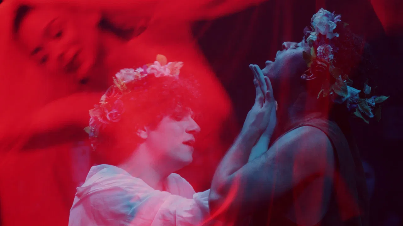 O Bosque dos Sonâmbulos no Teatro Viradalata backdrop