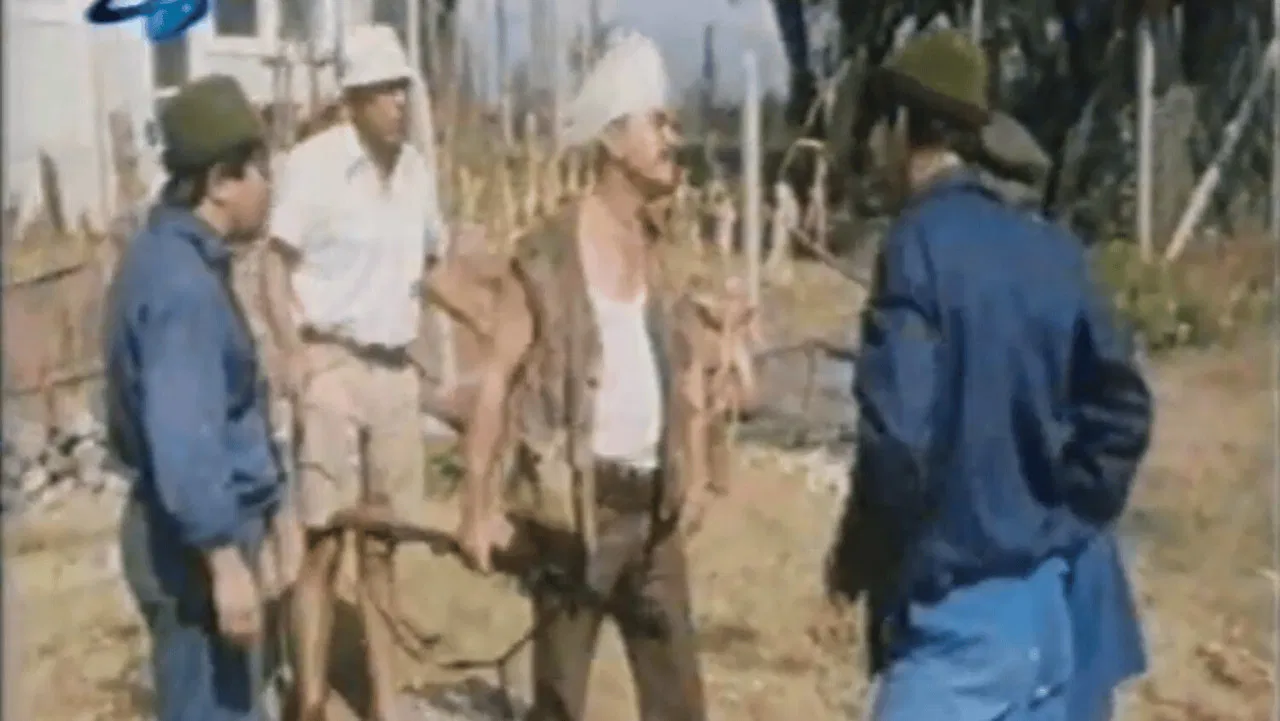 Blind Mole-Rat backdrop