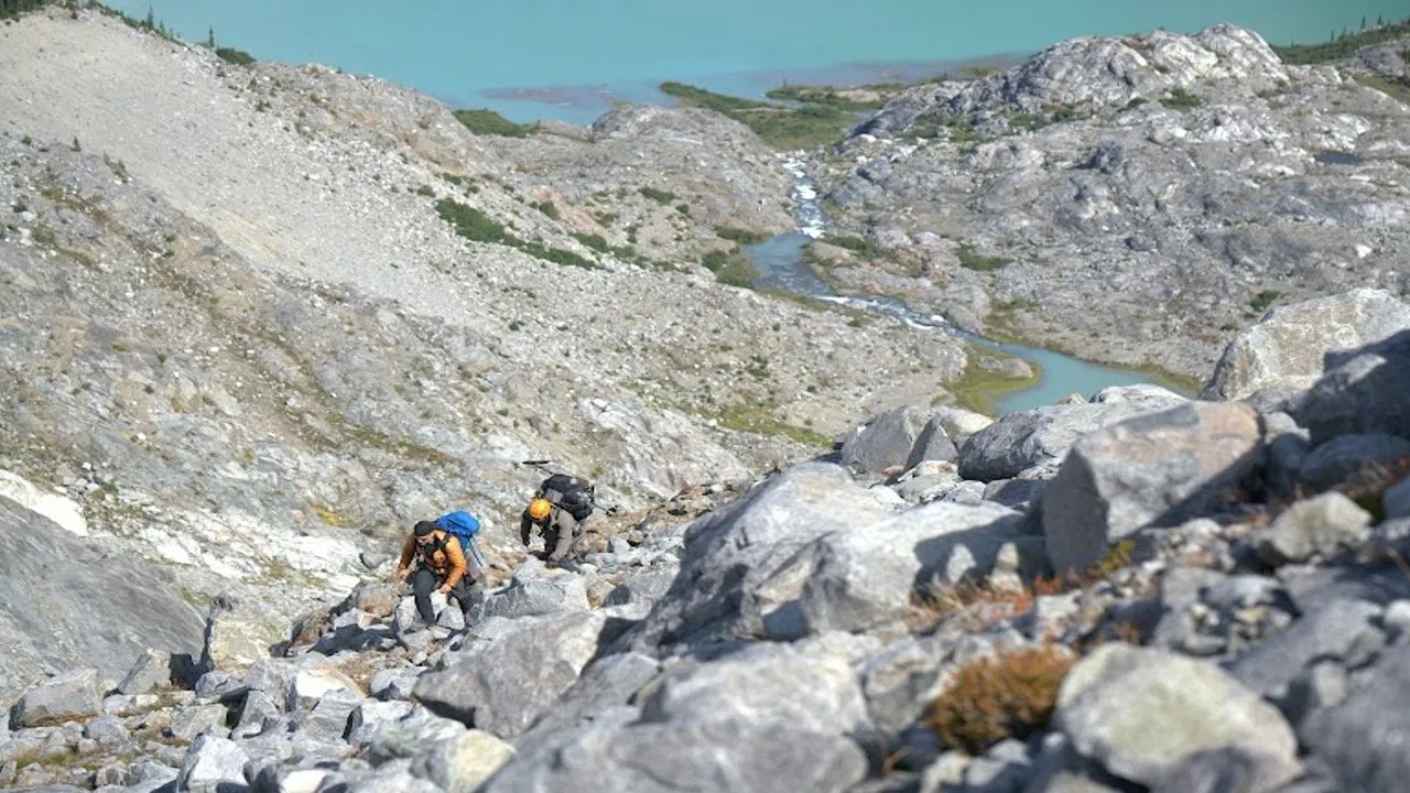 Deadman's Curse backdrop