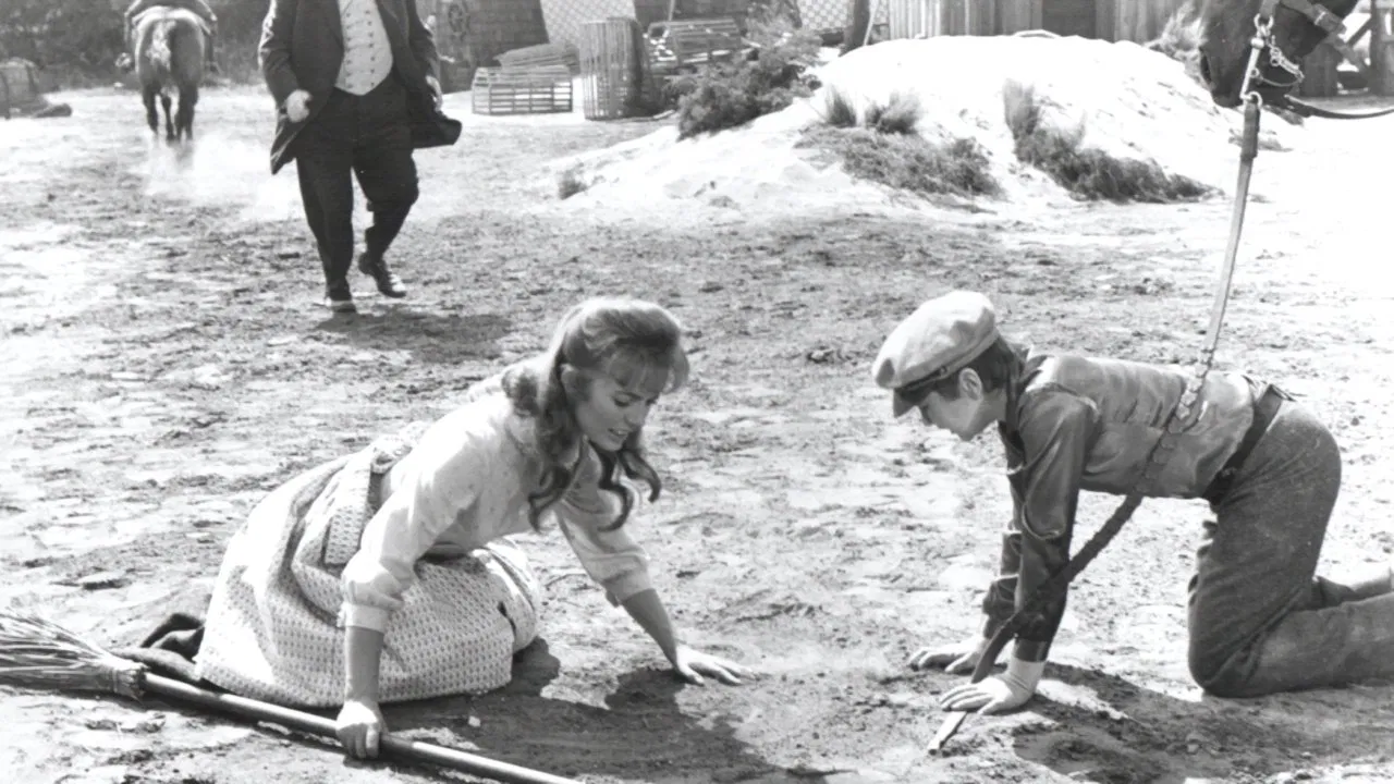 Mooncussers backdrop