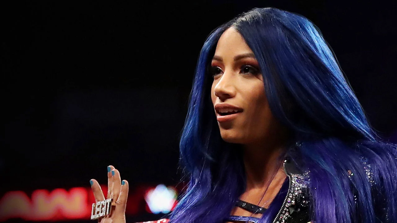 WWE Chronicle backdrop