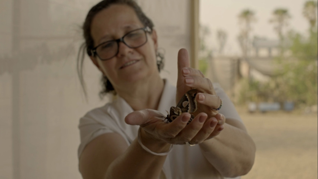 No abras los ojos y tendrás mi piel backdrop