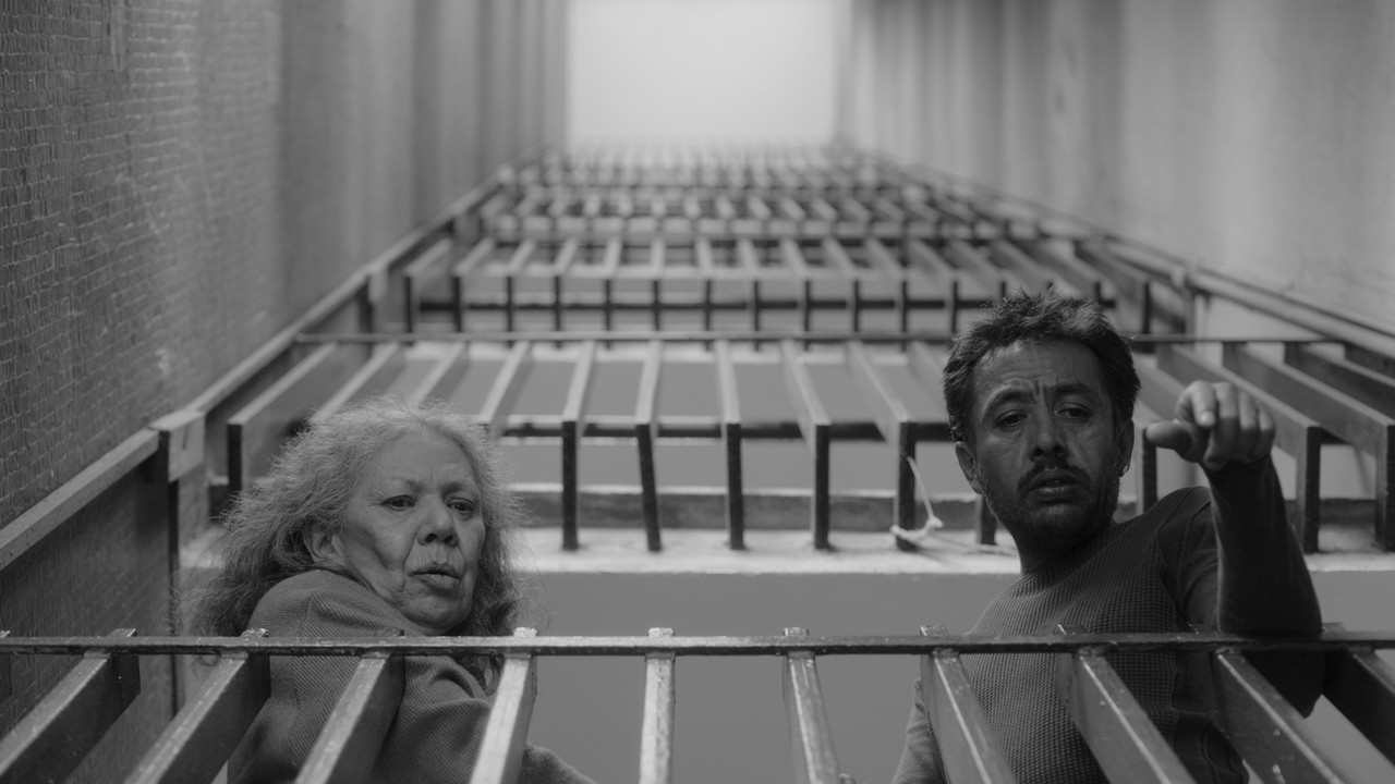 We Shall Not Be Moved backdrop