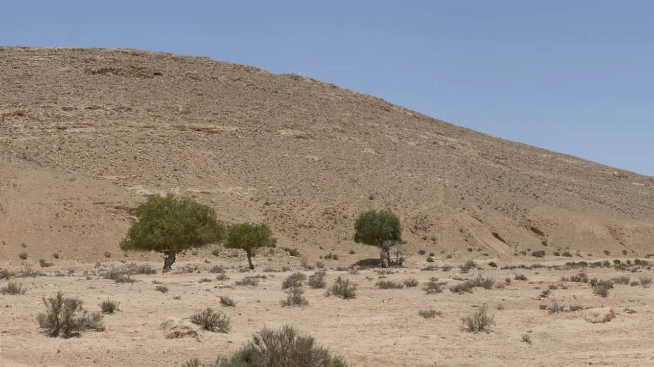 Announcements backdrop