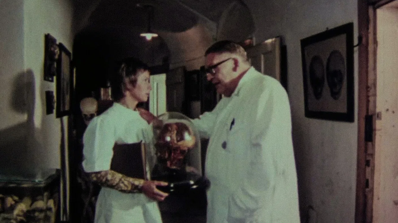 Slaughter Day backdrop