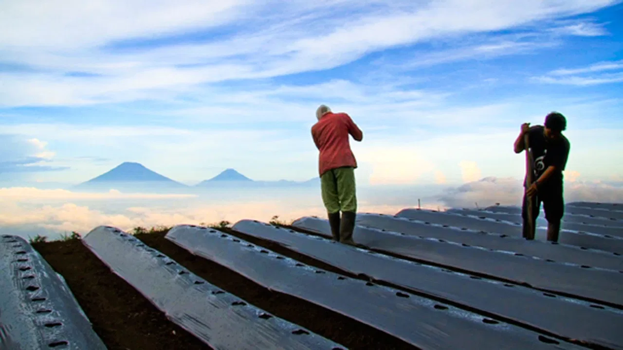 The Land Beneath the Fog backdrop