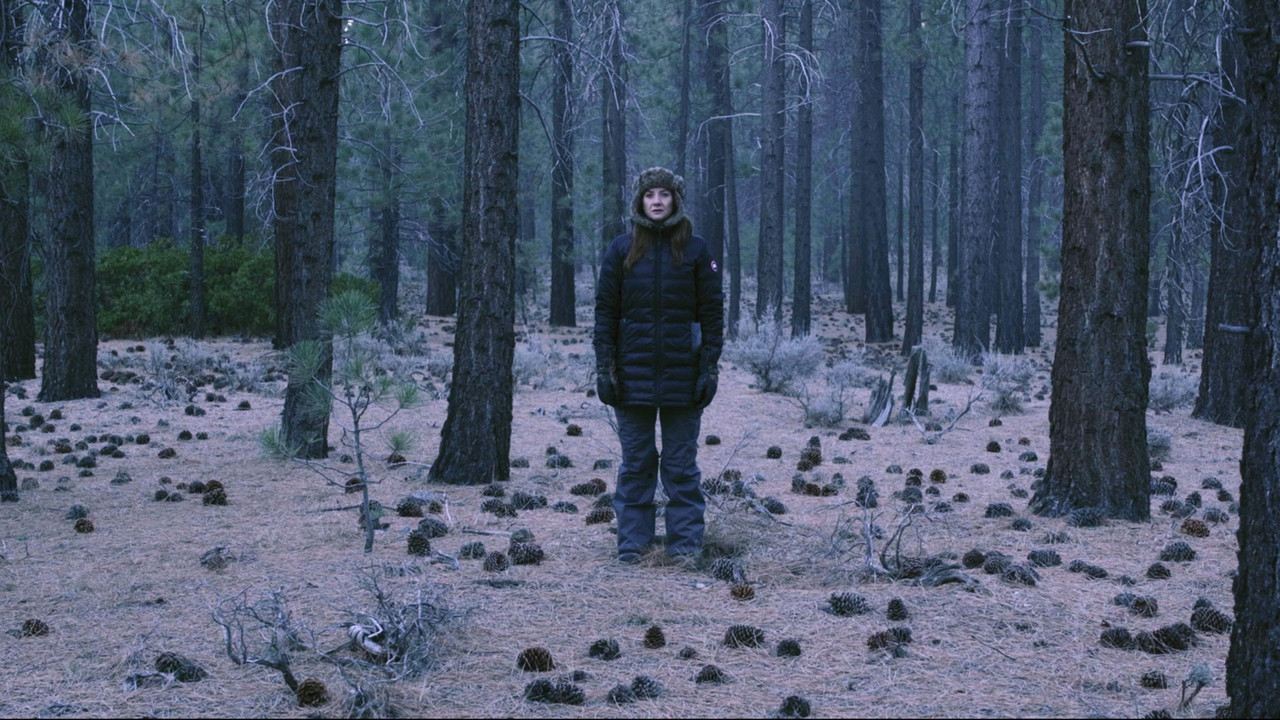 Our Happy Place backdrop