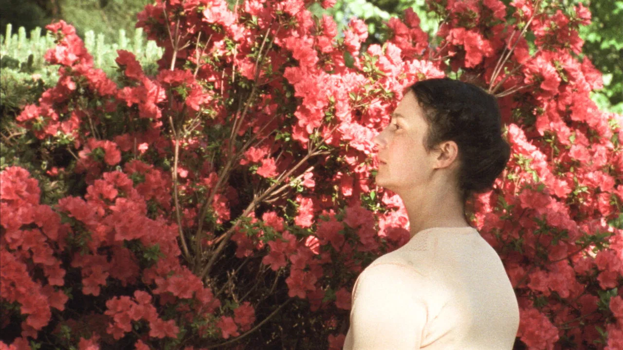 A Thousand Waves Away backdrop