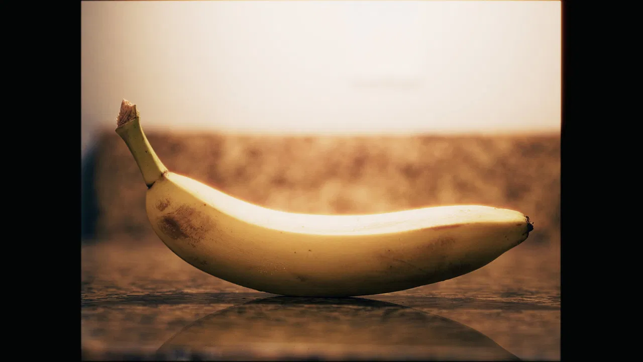 BANANAS backdrop