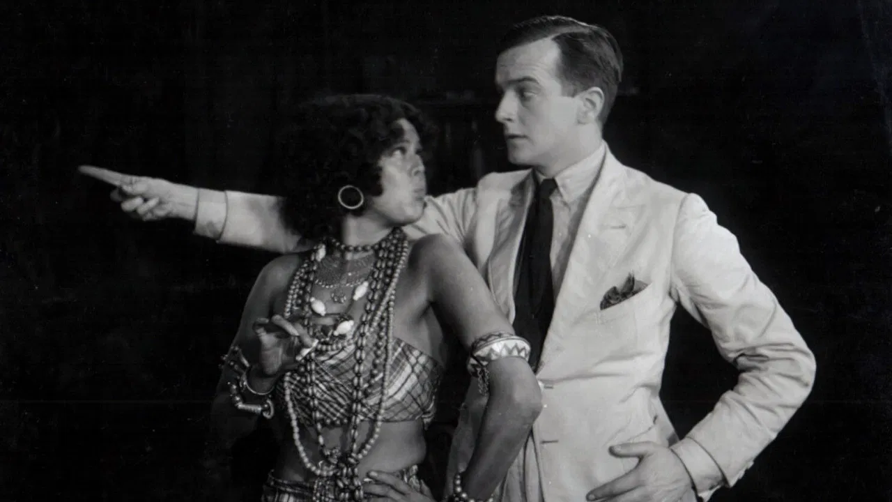 White Cargo backdrop