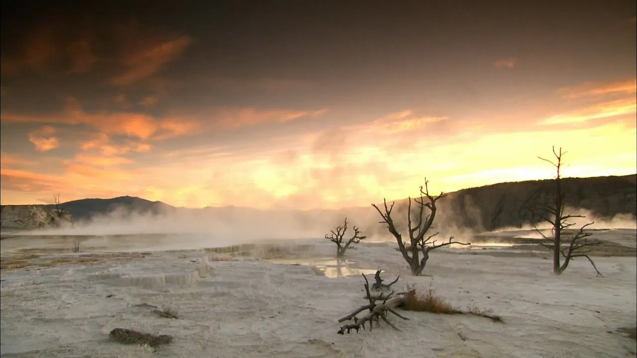 Inside Planet Earth backdrop
