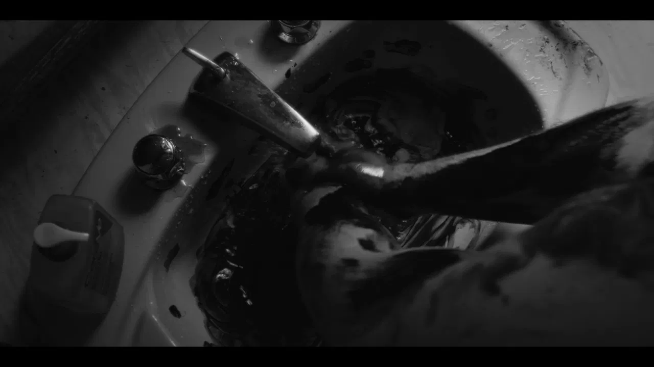 Seraph's Sorrow backdrop