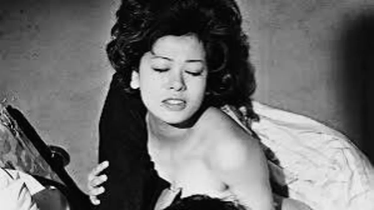 Naked Resume: True Story of Kazuko Shirakawa backdrop