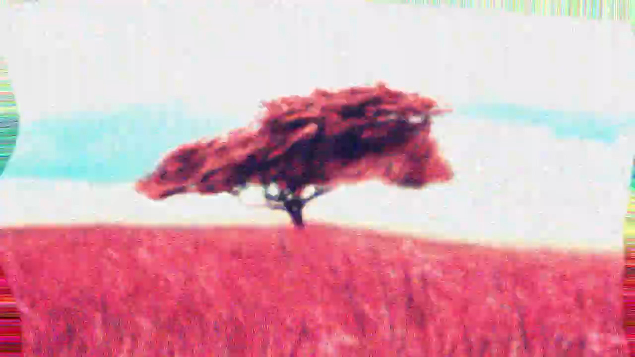 -pursuit4.teaser. backdrop