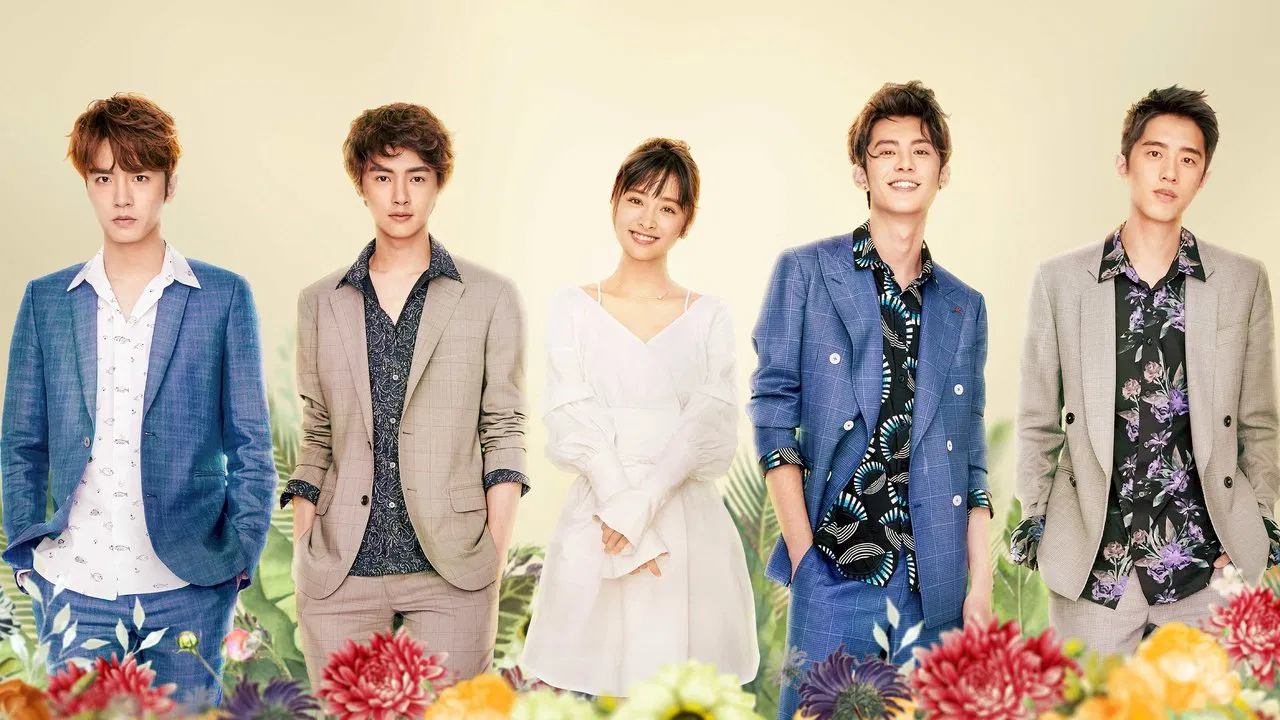 Meteor Garden backdrop