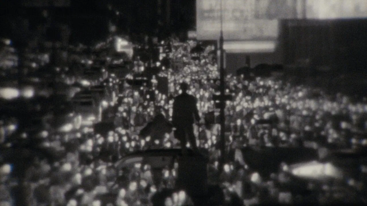 like moths to light backdrop