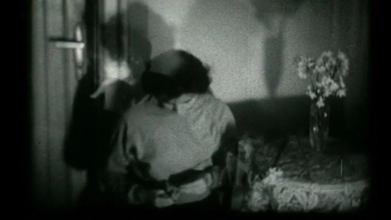 Sunflowers (Prelude, Taenia, Adventure, My Lady) backdrop