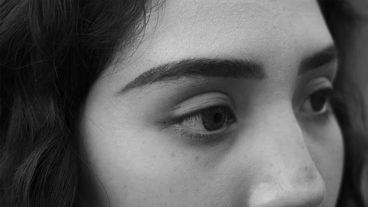 Holy North! backdrop