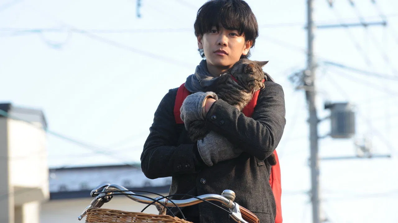 If Cats Disappeared from the World backdrop