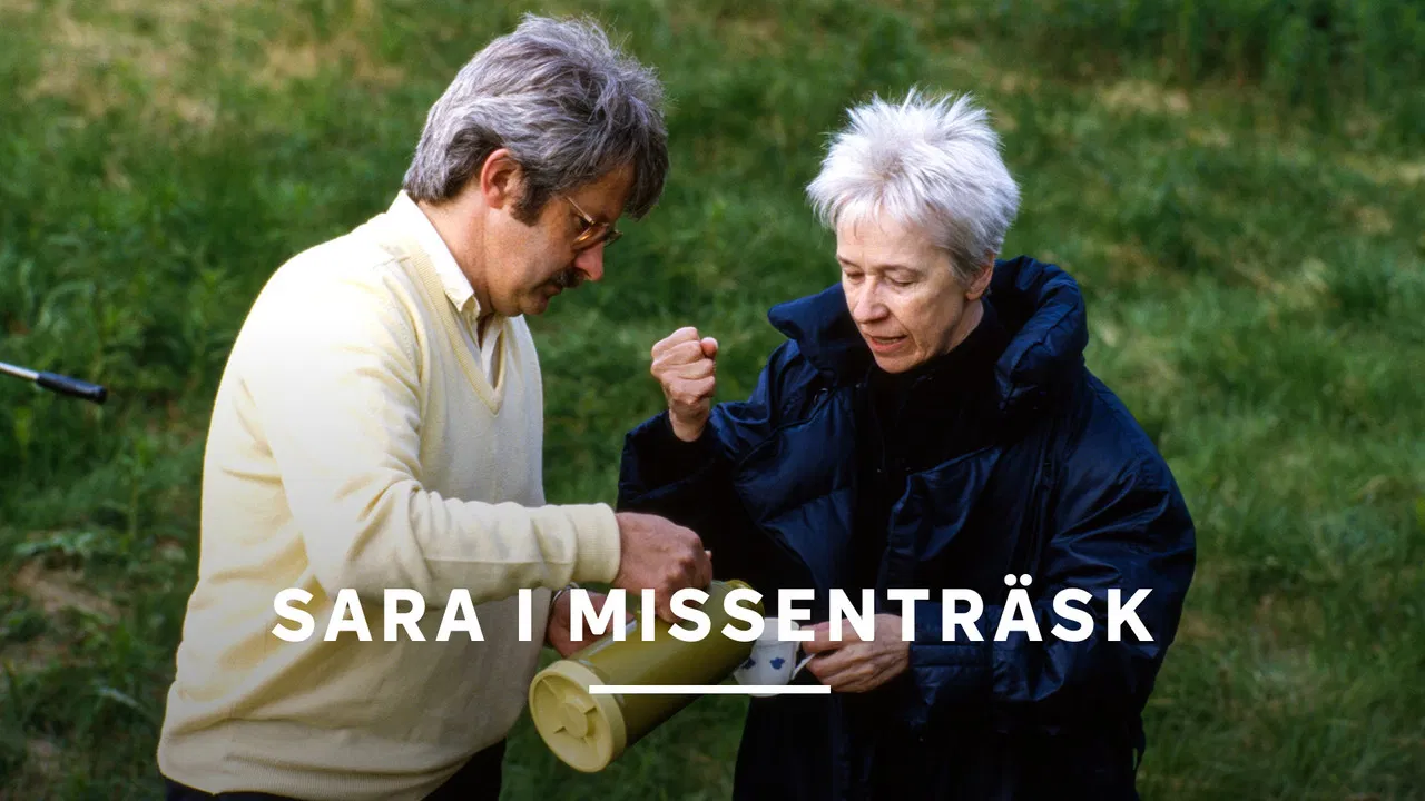 Sara i Missenträsk backdrop