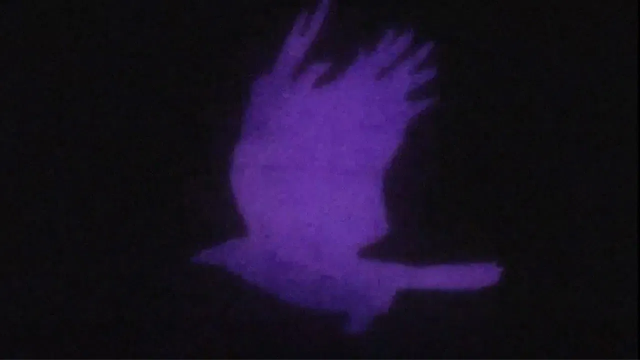 Edgar Allan Poe's The Raven backdrop