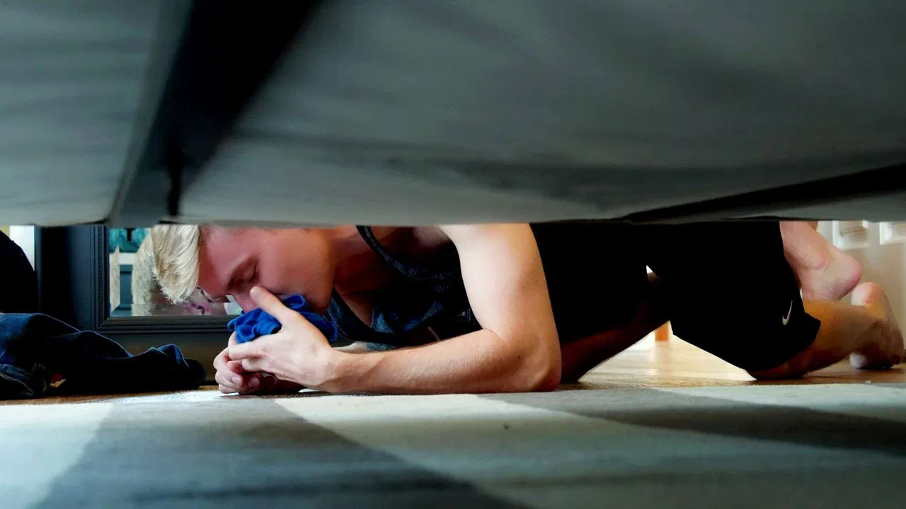 Step Sniffer backdrop