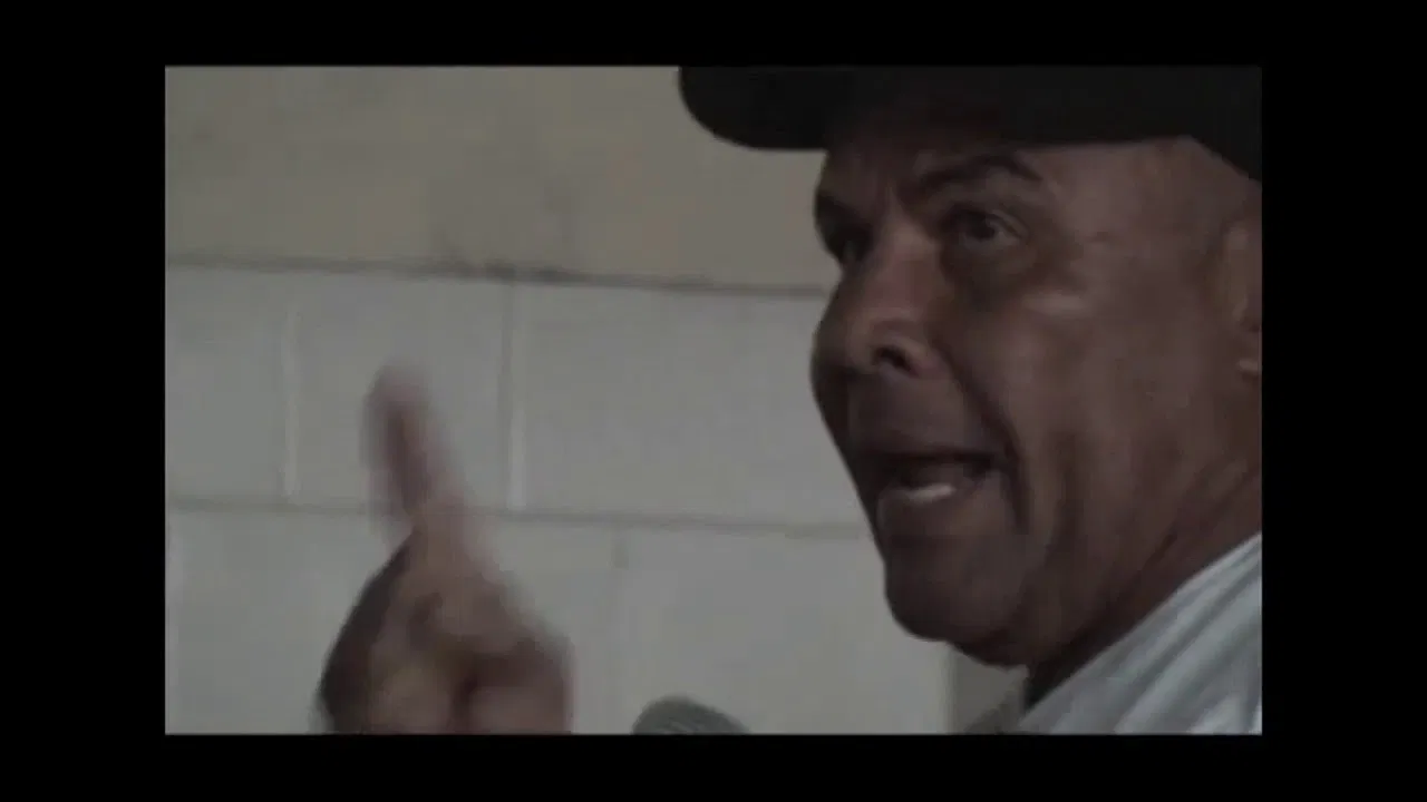 Pinheirinho — Tiraram Minha Casa, Tiraram Minha Vida backdrop