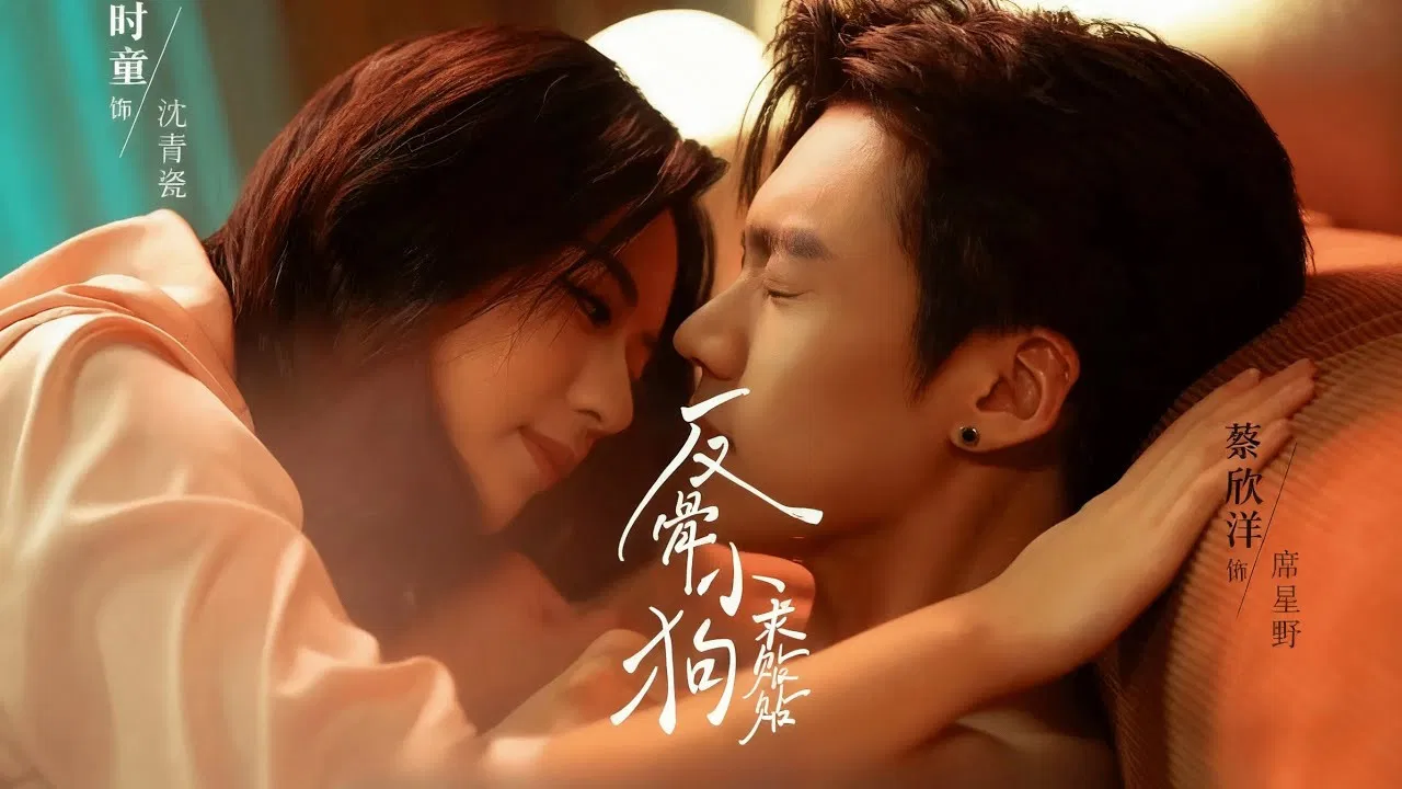 Fan Gu Xiao Gou Qiu Tie Tie backdrop