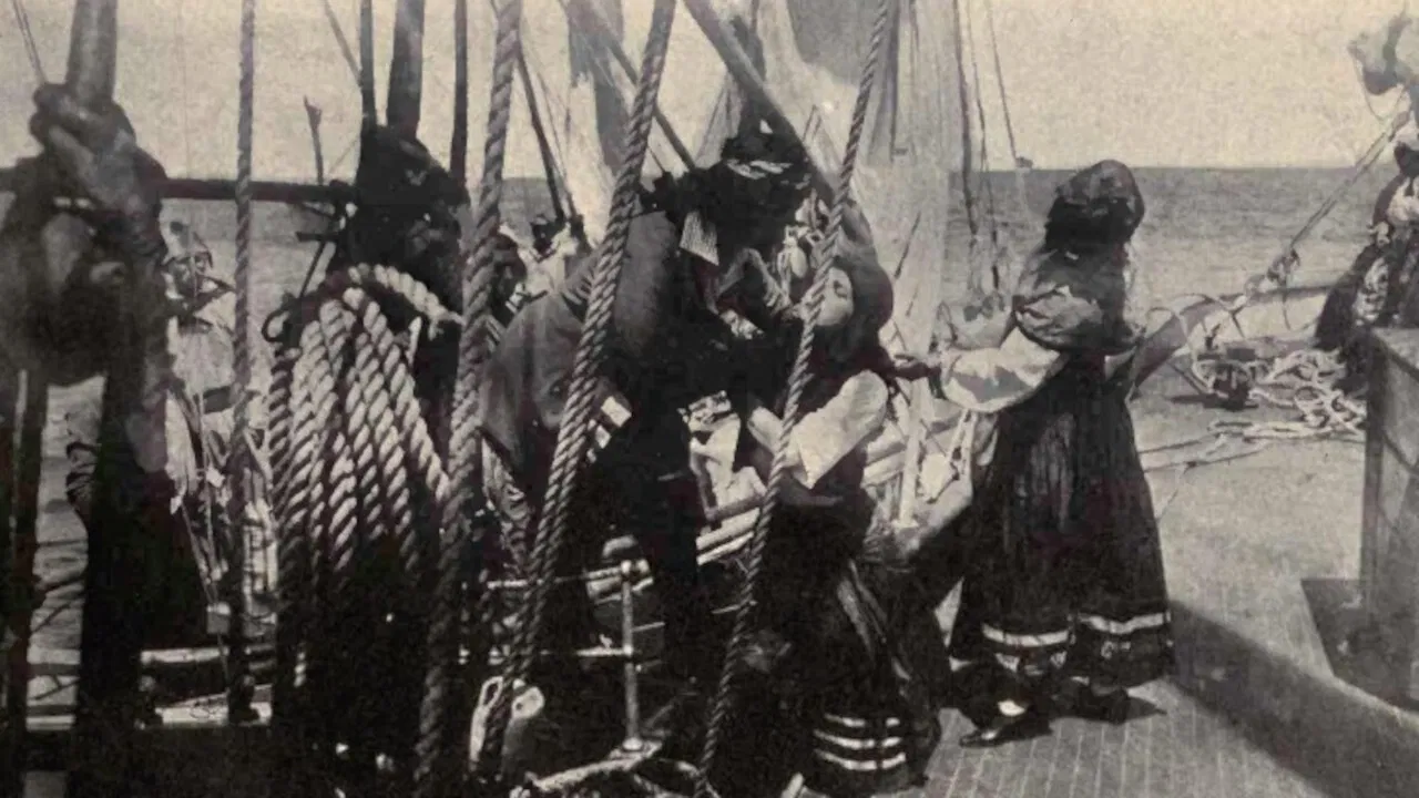 The Rose of Old St. Augustine backdrop