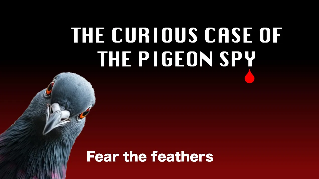The Curious Case of the Pigeon Spy backdrop