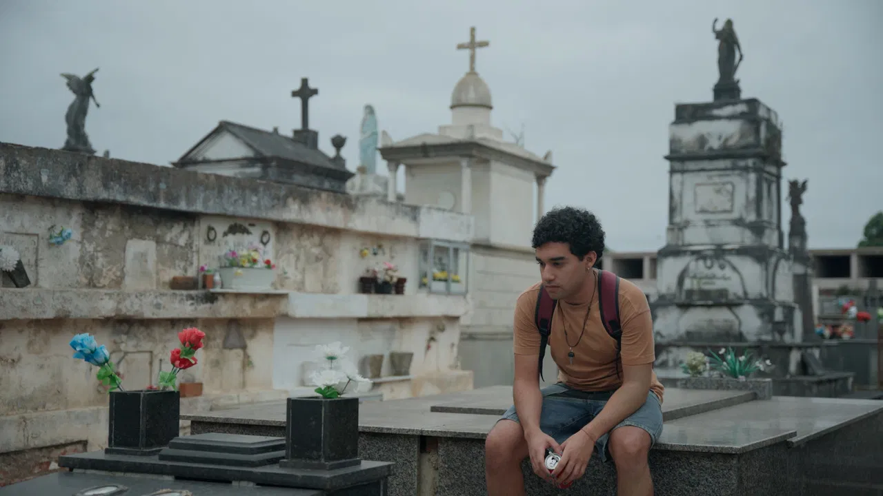 Besta do Ventre backdrop