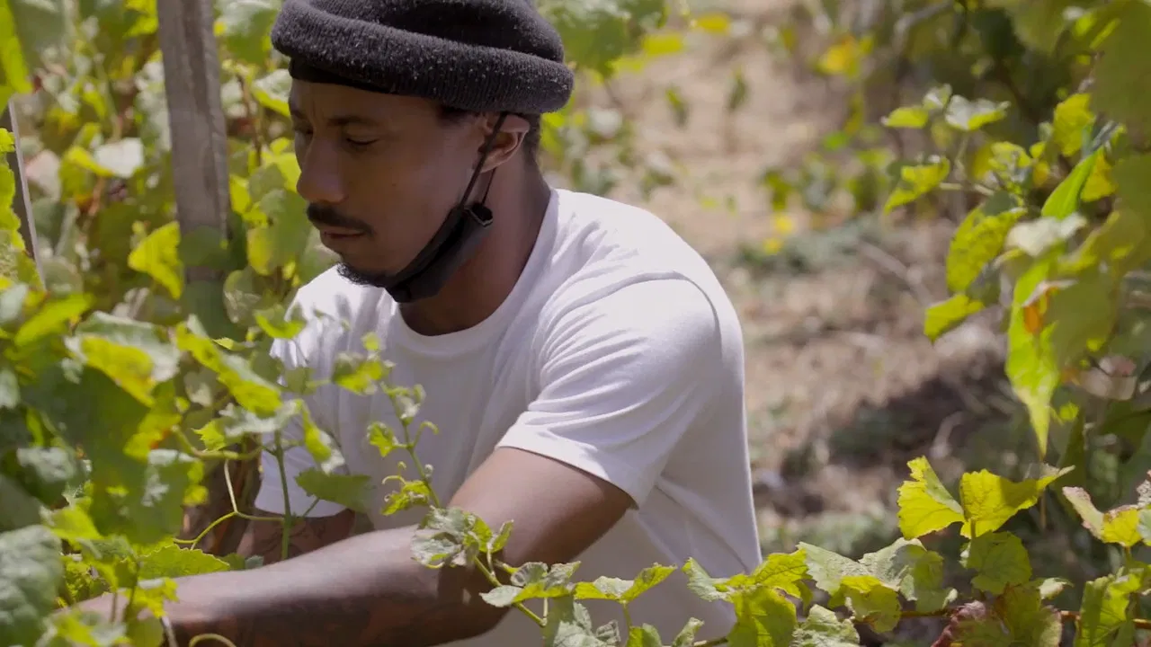 The Two Eighty Project backdrop