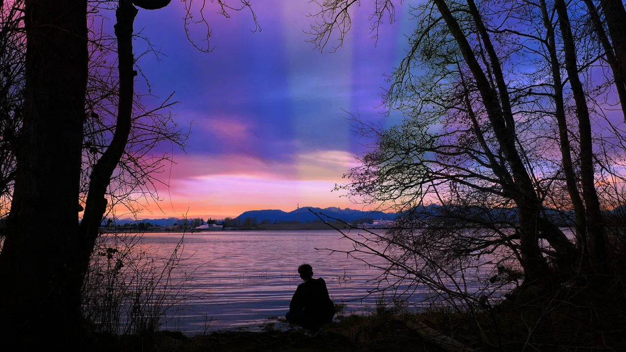 My Fascination With The Butterfly Effect backdrop