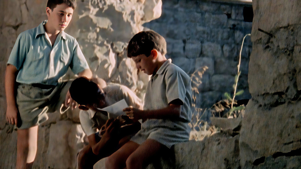 Hide and Seek backdrop