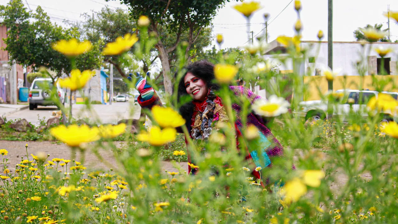 Crazy Wordy Lonely Lady backdrop