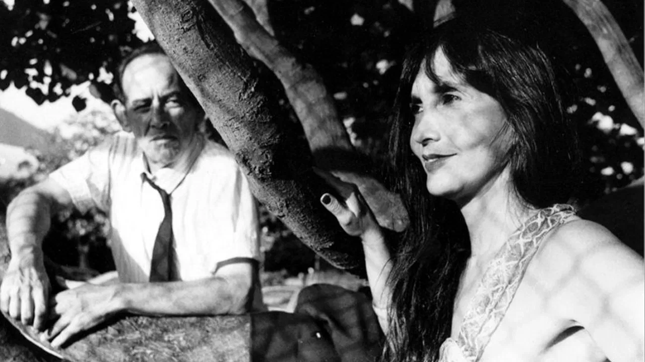 Perigo Negro backdrop