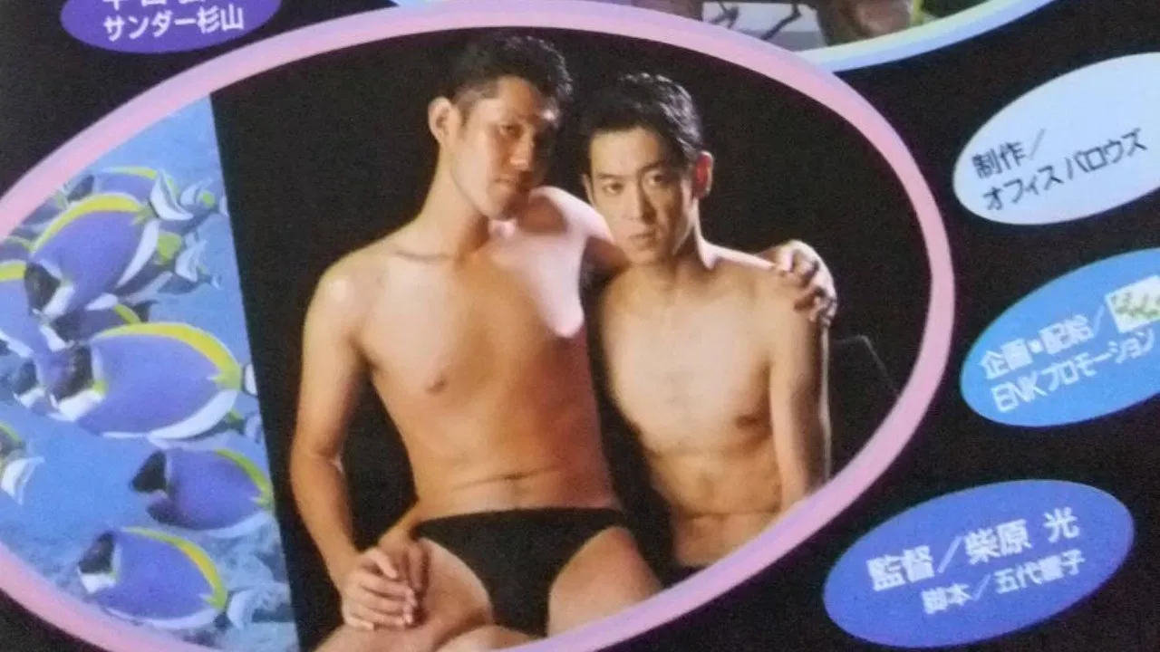 Dolphins return to the sea backdrop