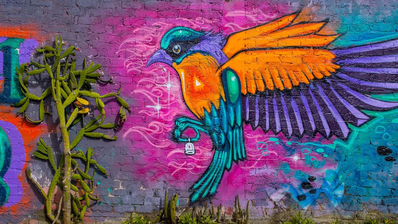 Primer voto backdrop