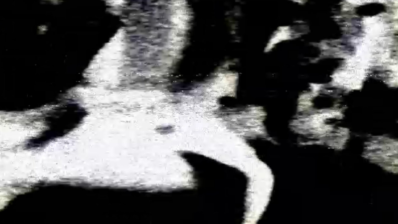 The Essence Of Creation, Lost To The Night backdrop