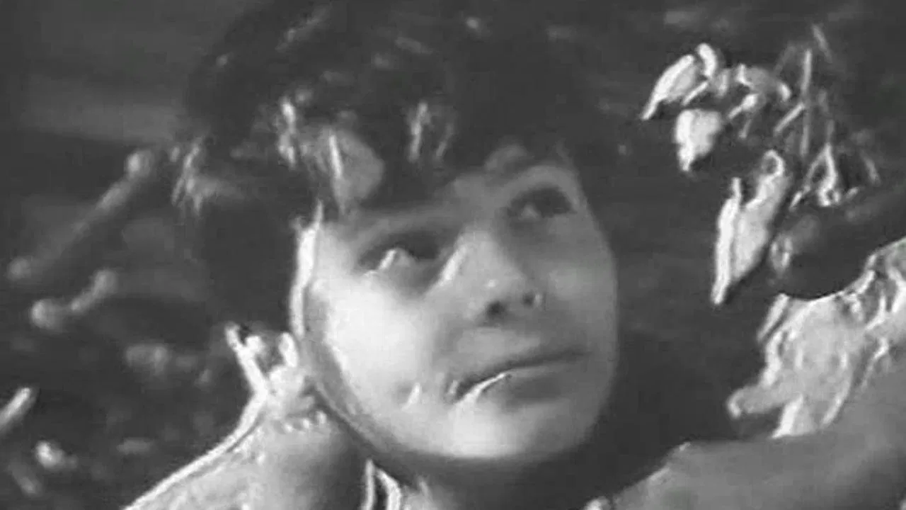 Vaska the Mannequin backdrop