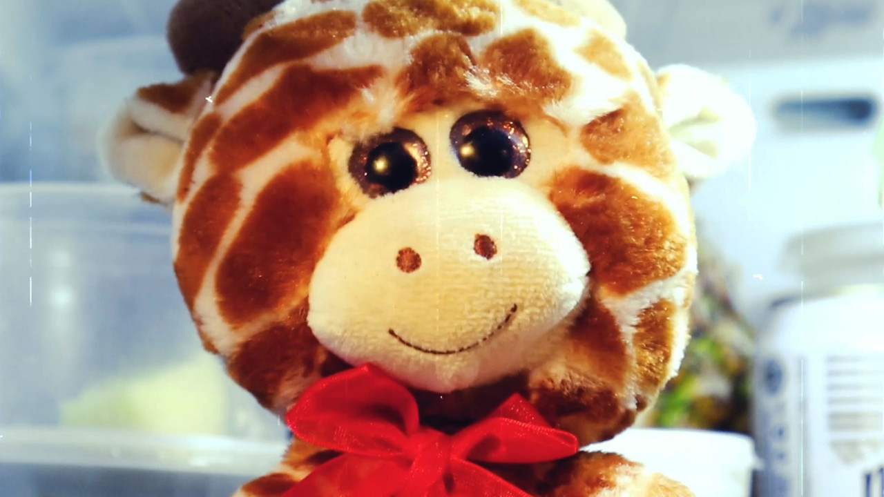 El Peluchoso Encuentro backdrop