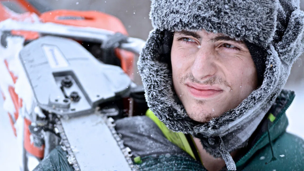 Siberian Cut backdrop