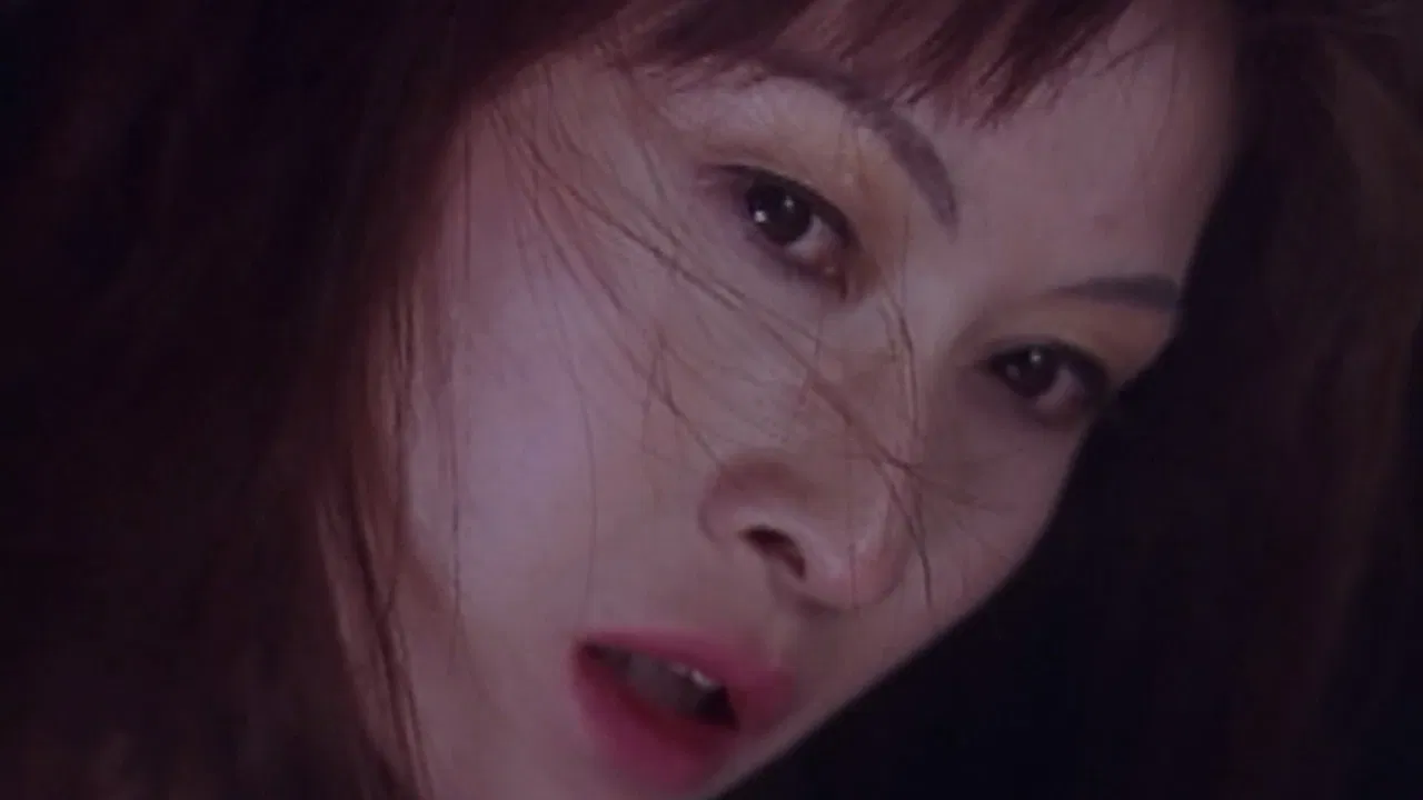 Twilight Dinner backdrop