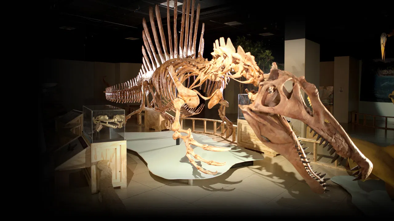 Top 10 Biggest Beasts Ever backdrop