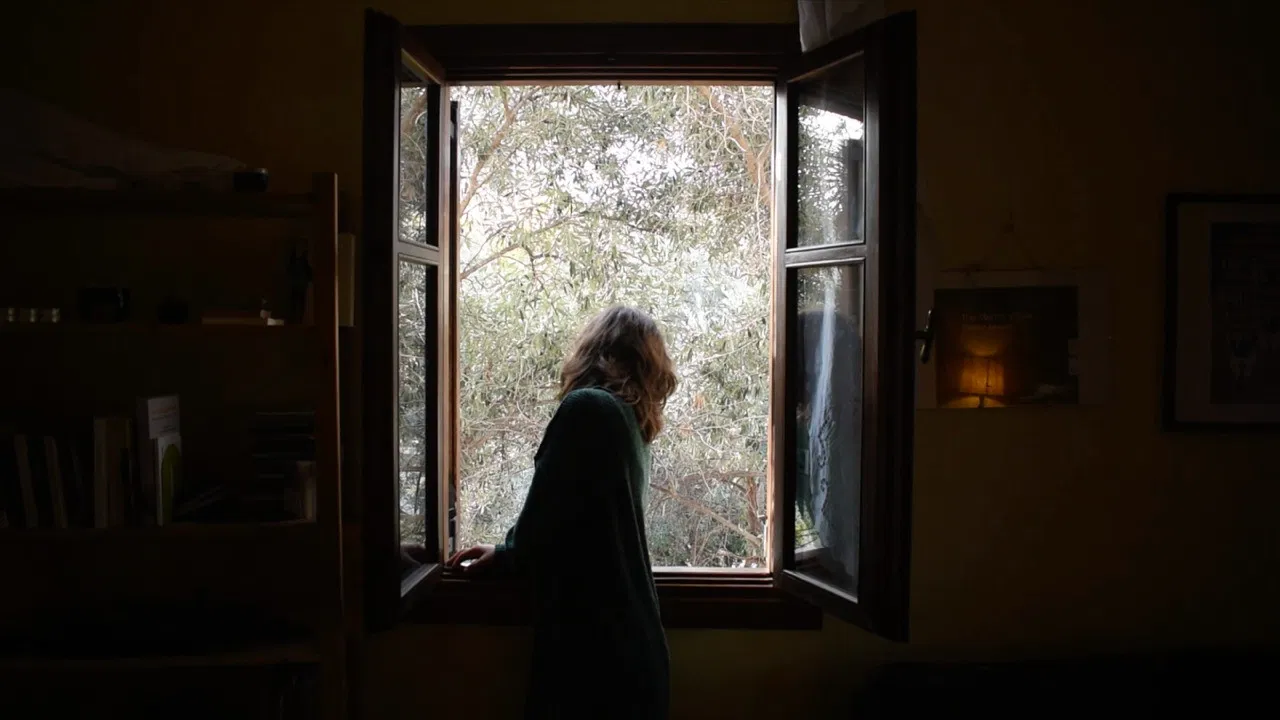 Miss understanding backdrop